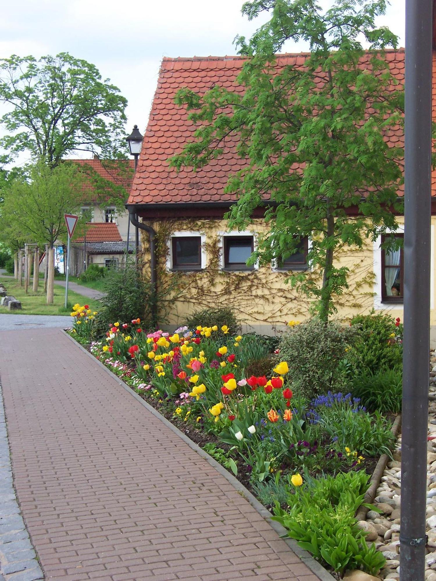 Hotel Gasthof Weichlein Wachenroth Exterior foto